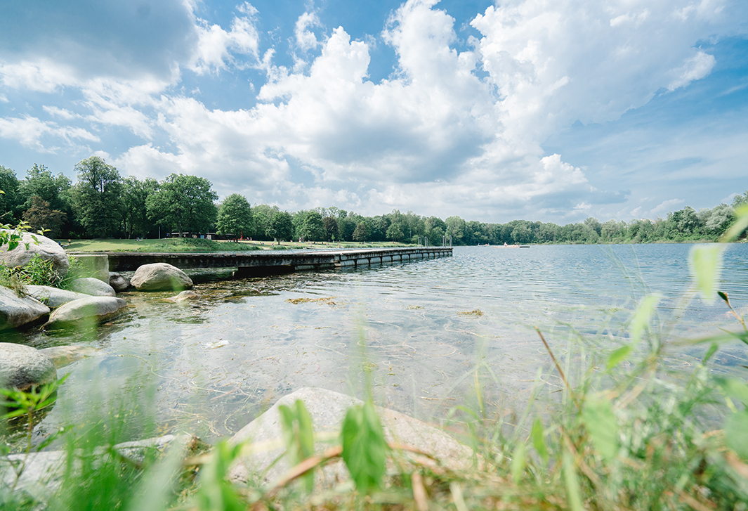 Pfuhler Baggersee