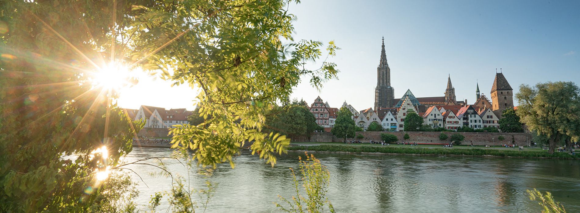 Blick auf die Ulmer Altstadt und das Ulmer Münster bei Sonnenuntergang. Im Vordergrund rahmen grüne Blätter und Pflanzen den Blick auf die Donau ein, die ruhig fließt. Die historischen Fachwerkhäuser und Türme der Altstadt, darunter das markante Ulmer Münster, prägen die Silhouette der Stad