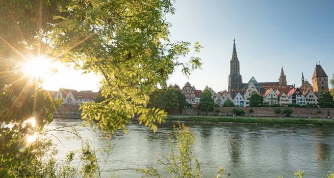 Blick auf die Ulmer Altstadt und das Ulmer Münster bei Sonnenuntergang. Im Vordergrund rahmen grüne Blätter und Pflanzen den Blick auf die Donau ein, die ruhig fließt. Die historischen Fachwerkhäuser und Türme der Altstadt, darunter das markante Ulmer Münster, prägen die Silhouette der Stad