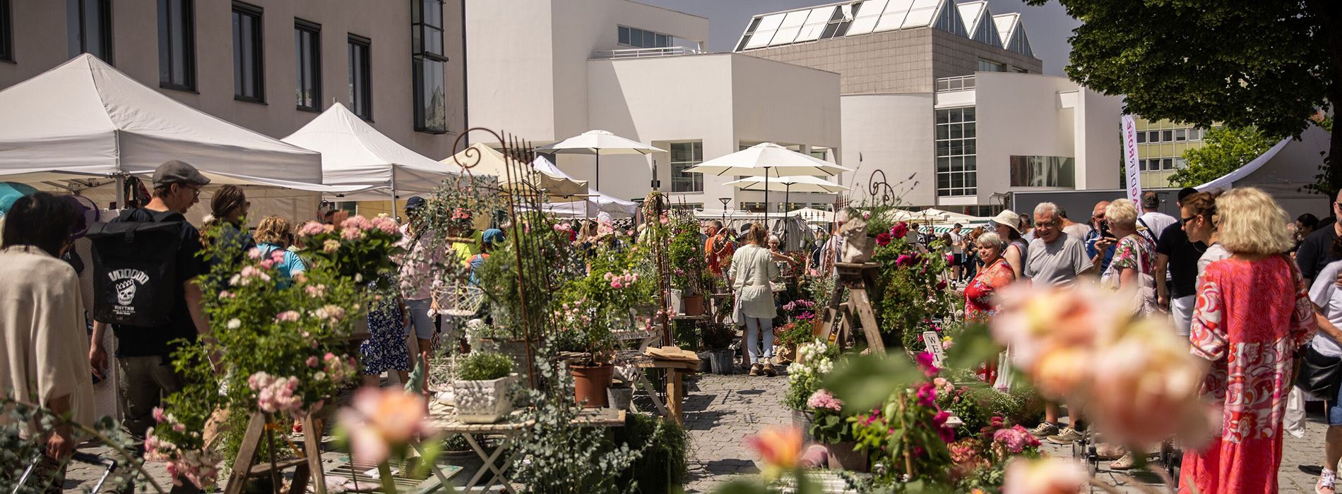 Marktbesucher betrachten Pflanzen an einem Verkaufsstand auf belebtem Pflanzenmarkt.