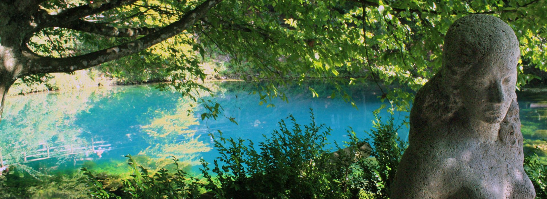 Blaugrüne Karstquelle mit überhängenden Ästen und moosbewachsenem Baumstamm im Vordergrund.