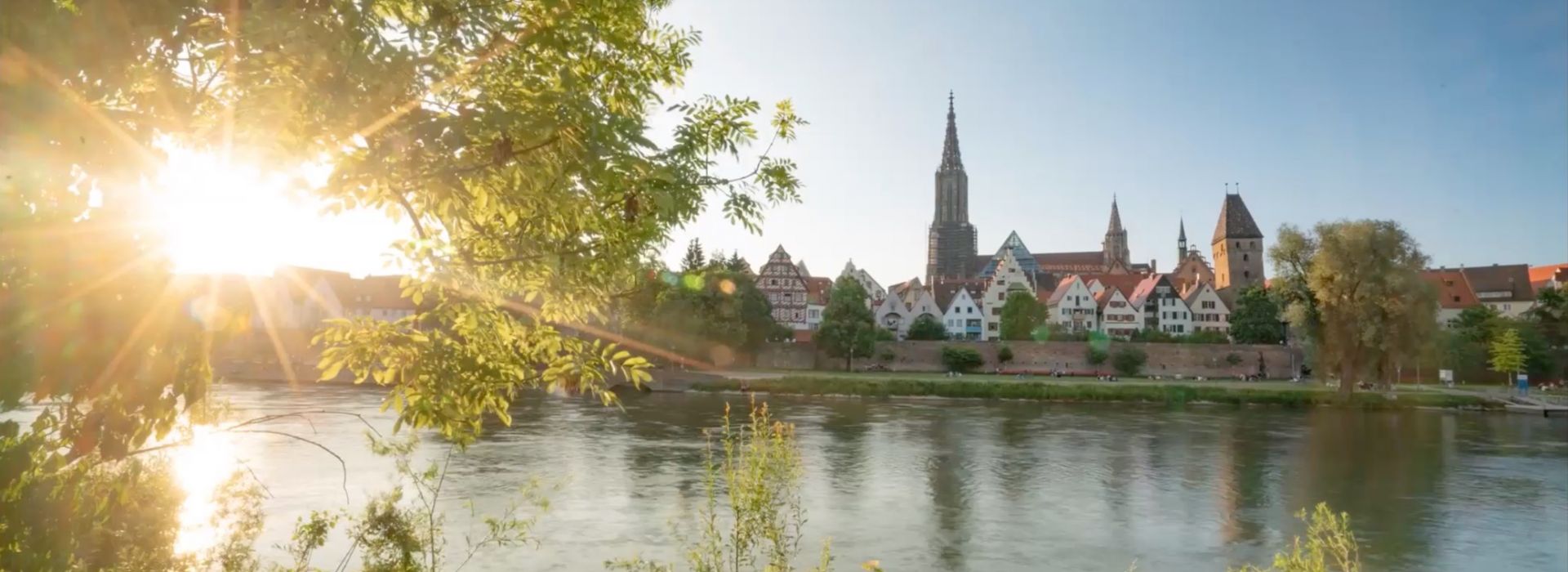 Donauufer mit Blick auf Ulmer Altstadt und Münster, eingerahmt von Bäumen bei Sonnenlicht.