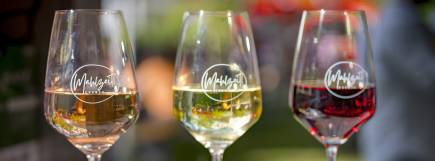 Drei Weingläser stehen nebeneinander. Eins mit Weisswein, eins mit Rosé und eins mit Rotwein gefüllt.